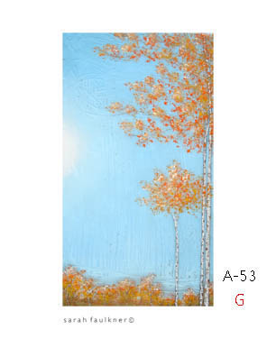 a53