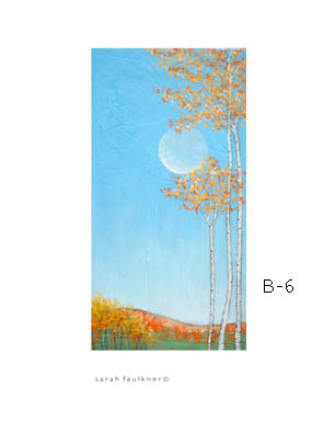 b6