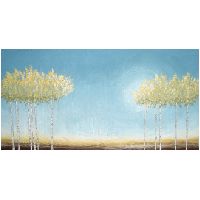birch